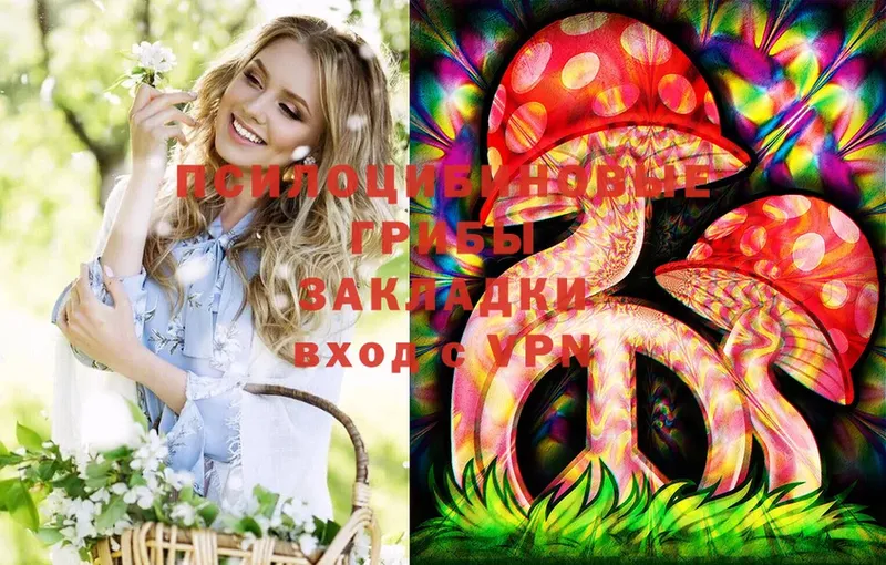 Галлюциногенные грибы Magic Shrooms Асино